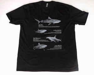 Seven Shark Species - Black