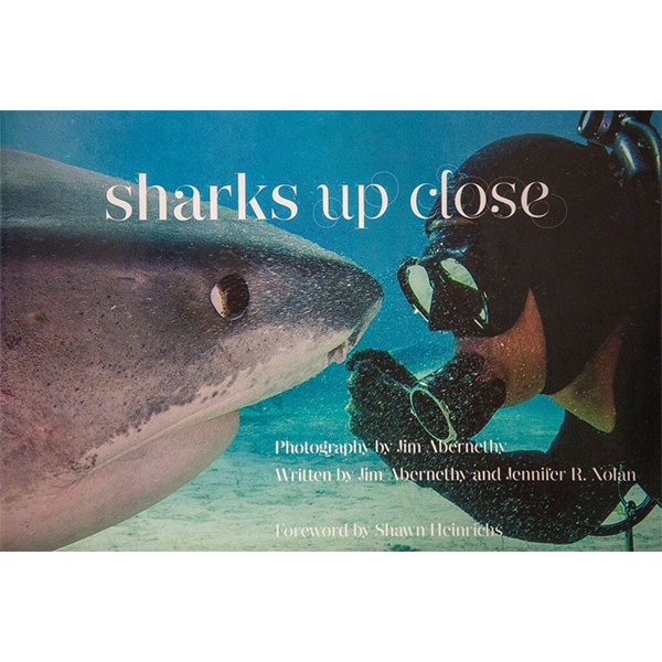 Sharks Up Close - Hardcover Book
