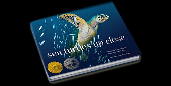 Sea Turtles Up Close - Hardcover Book